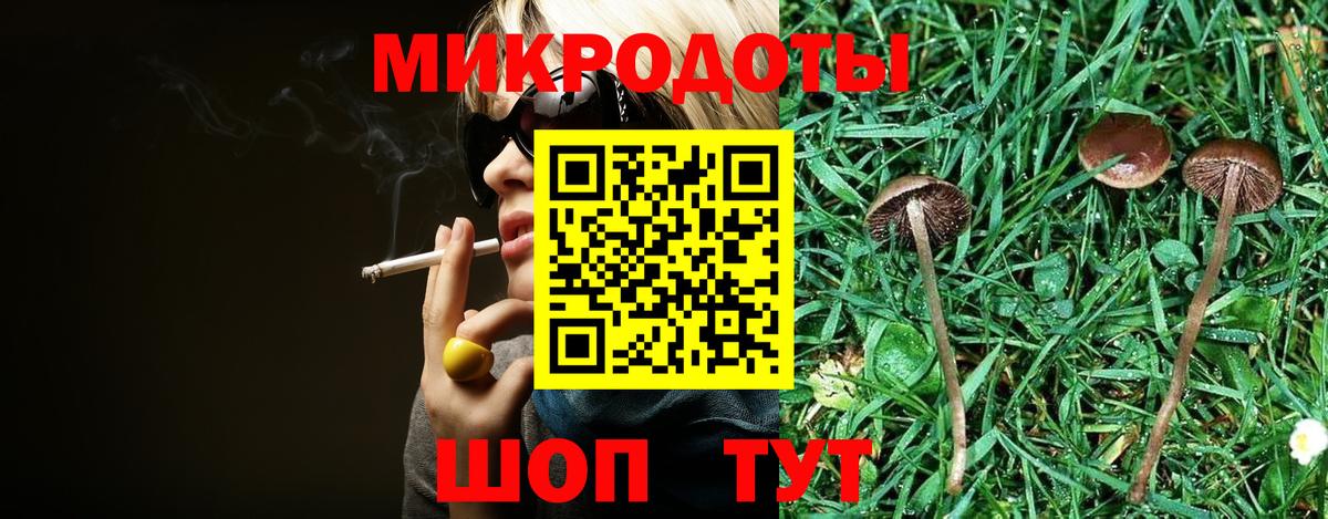 Псилоцибиновые грибы GOLDEN TEACHER  Вход с VPN  Псилоцибиновые грибы GOLDEN TEACHER  Ефремов 