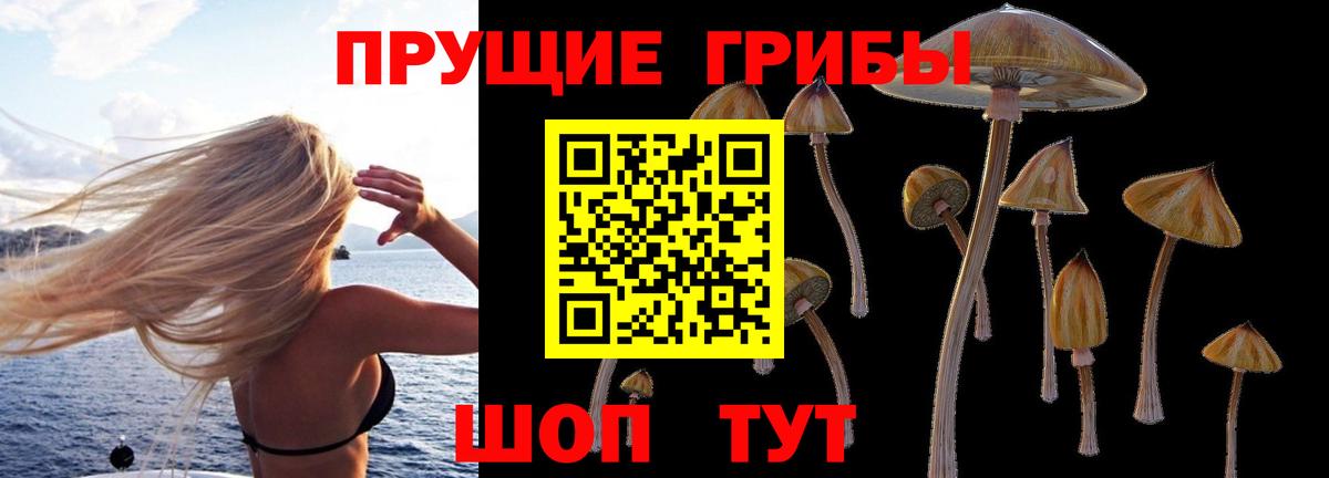 Псилоцибиновые грибы мицелий  Ефремов 