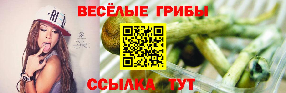 Alpha-PVP Ефремов